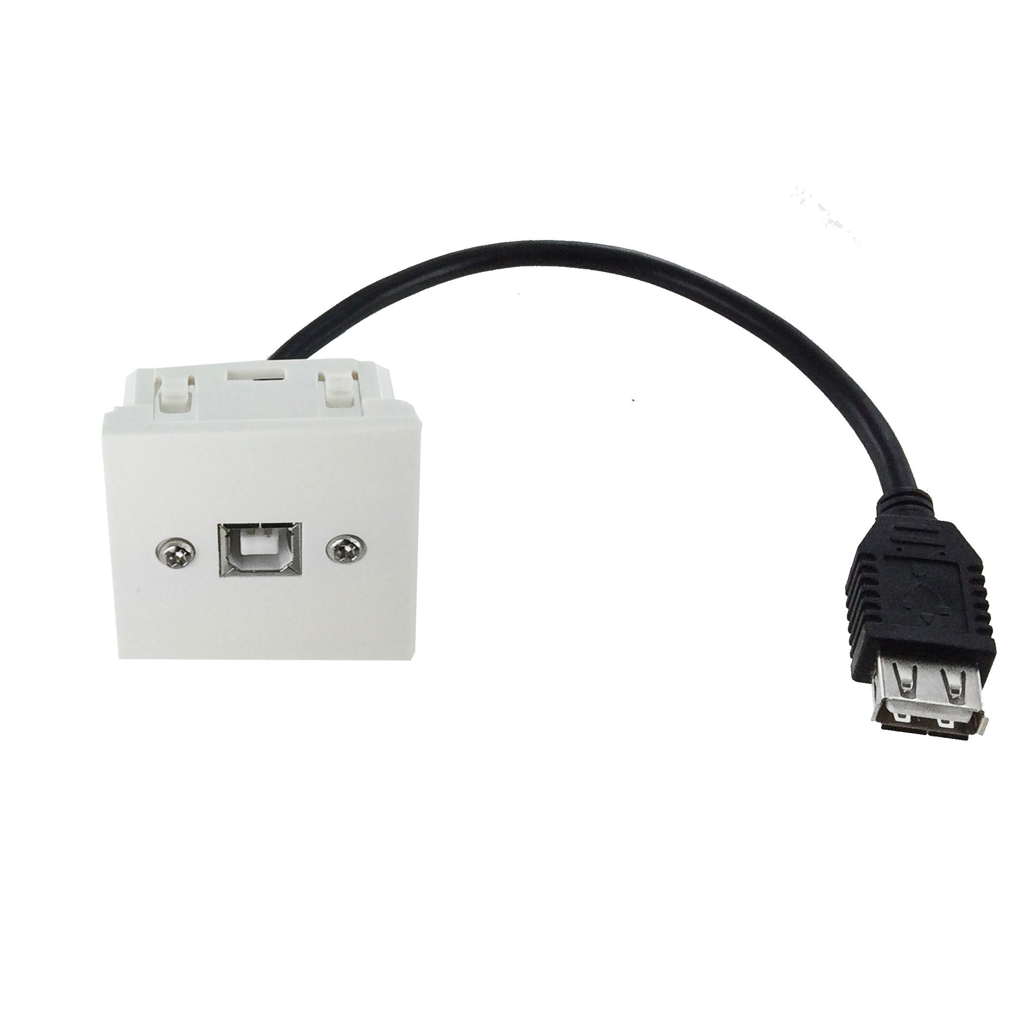 Plastron 45x45 USB2.0 B F vers USB A F – 0.2m (AWG28/24)